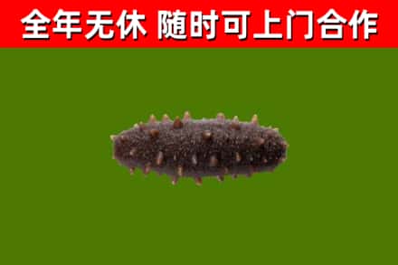 禹王台烟酒回收干海参.jpg
